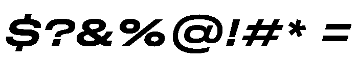 FLArtGrotesk WideBoldItalic Font OTHER CHARS