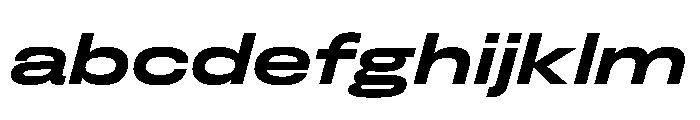 FLArtGrotesk WideBoldItalic FONT