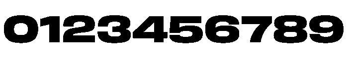 FLArtGrotesk WideDark Font OTHER CHARS