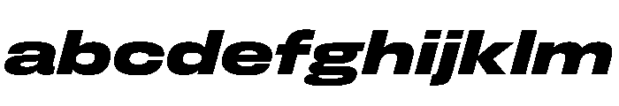 FLArtGrotesk WideDarkItalic FONT
