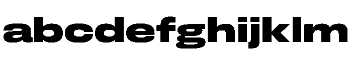 FLArtGrotesk WideDark FONT
