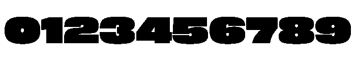 FLArtGrotesk WideDense Font OTHER CHARS