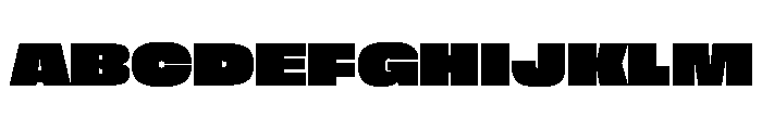 FLArtGrotesk WideDense Font UPPERCASE