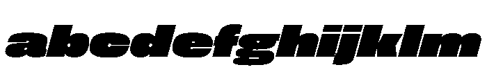 FLArtGrotesk WideDenseItalic FONT