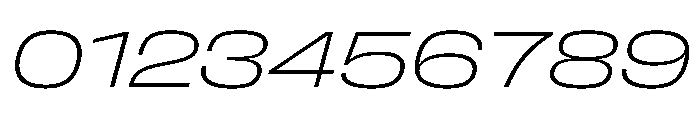 FLArtGrotesk WideFineItalic Font OTHER CHARS