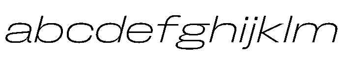 FLArtGrotesk WideFineItalic FONT