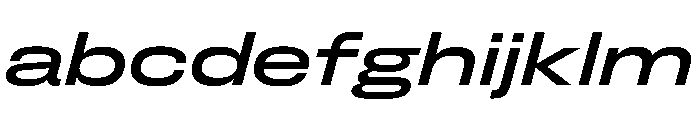 FLArtGrotesk WideMediumItalic FONT
