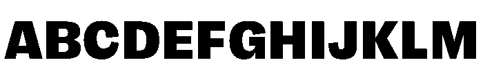 FLRare Black Instance Font UPPERCASE