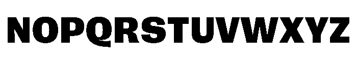 FLRare Black Instance Font UPPERCASE