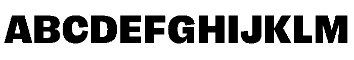 FLRare Black Font UPPERCASE