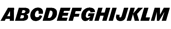 FLRare BlackItalic Instance Font UPPERCASE