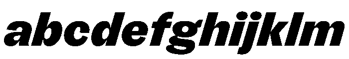 FLRare BlackItalic Instance FONT