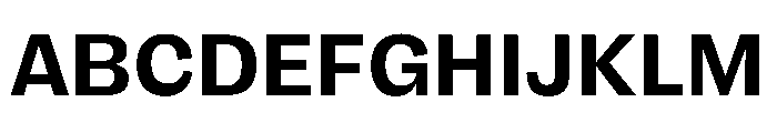 FLRare Bold Instance Font UPPERCASE