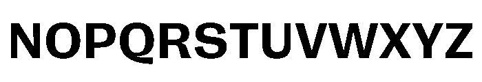 FLRare Bold Instance Font UPPERCASE