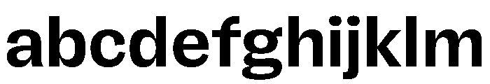 FLRare Bold Instance FONT