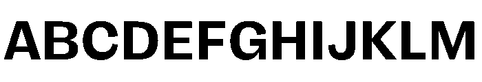 FLRare Bold Font UPPERCASE