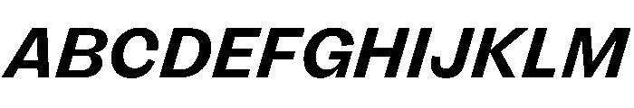 FLRare BoldItalic Instance Font UPPERCASE