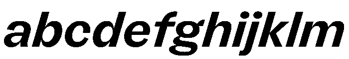 FLRare BoldItalic Instance FONT