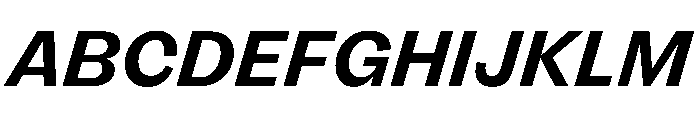 FLRare BoldItalic Font UPPERCASE