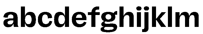 FLRare Bold FONT