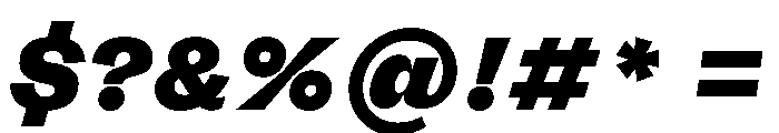 FLRare DisplayBlackItalic Instance Font OTHER CHARS