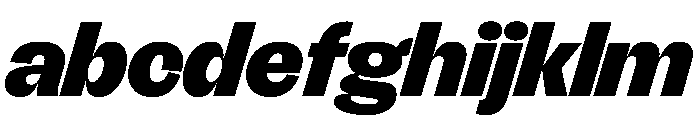 FLRare DisplayBlackItalic Instance FONT