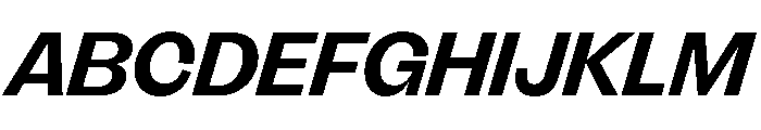 FLRare DisplayBoldItalic Instance Font UPPERCASE