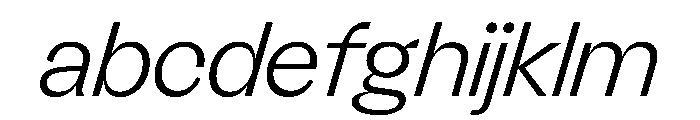 FLRare DisplayFineItalic Instance FONT