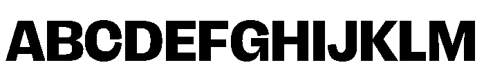 FLRare DisplayHeavy Instance Font UPPERCASE