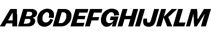 FLRare DisplayHeavyItalic Instance Font UPPERCASE