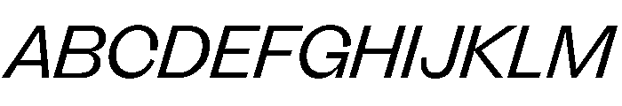 FLRare DisplayLightItalic Instance Font UPPERCASE