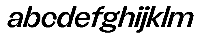 FLRare DisplayMediumItalic Instance FONT