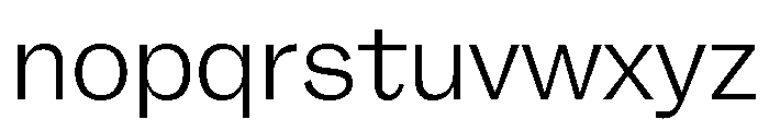 FLRare Fine Instance Font LOWERCASE