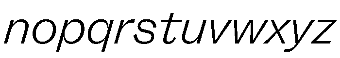 FLRare FineItalic Instance Font LOWERCASE