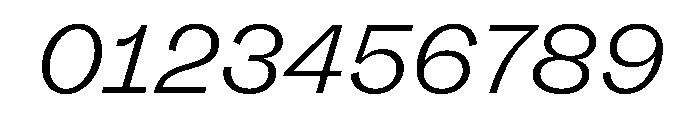 FLRare FineItalic Font OTHER CHARS