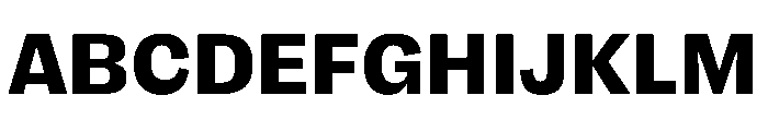 FLRare Heavy Instance Font UPPERCASE
