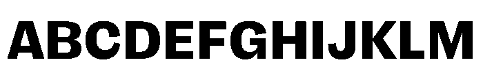 FLRare Heavy Font UPPERCASE