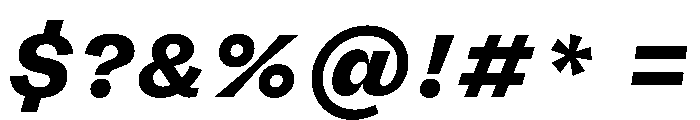 FLRare HeavyItalic Instance Font OTHER CHARS
