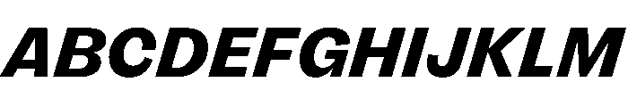 FLRare HeavyItalic Instance Font UPPERCASE