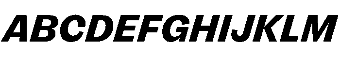 FLRare HeavyItalic Font UPPERCASE