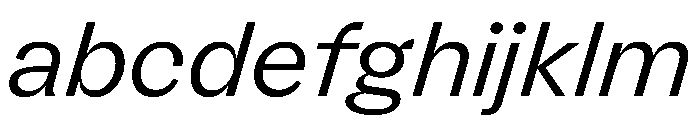 FLRare LightItalic Instance FONT
