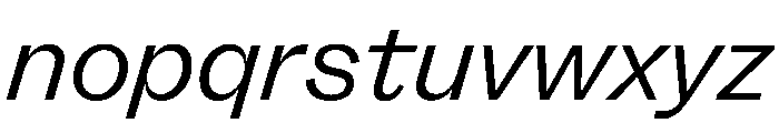 FLRare LightItalic Instance Font LOWERCASE