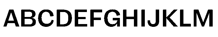 FLRare Medium Instance Font UPPERCASE