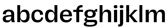 FLRare Medium Instance FONT