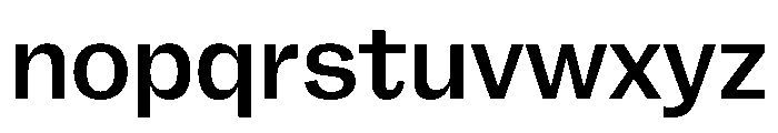 FLRare Medium Instance Font LOWERCASE