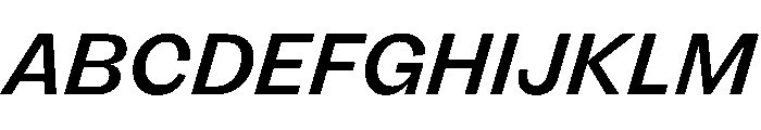 FLRare MediumItalic Font UPPERCASE