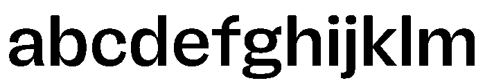FLRare Medium FONT