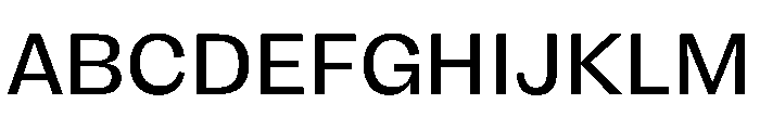 FLRare Regular Instance Font UPPERCASE