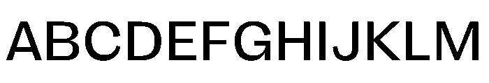 FLRare Regular Font UPPERCASE