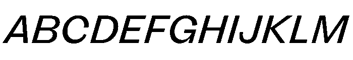 FLRare RegularItalic Instance Font UPPERCASE